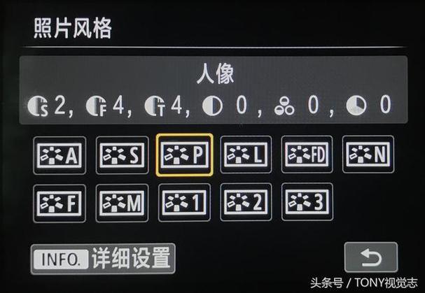 单反相机照片尺寸设定游戏截图