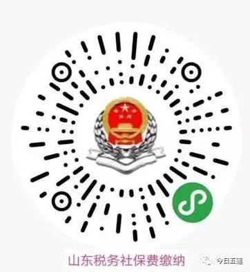 山东税务社保缴费小程序下载图标