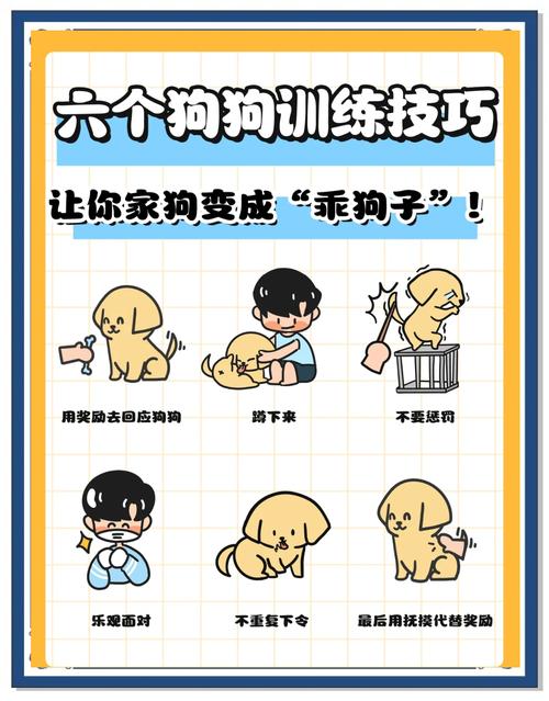 训练狗游戏截图