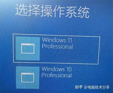 双win10系统缩略图