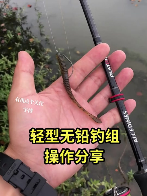 初学路亚钓鱼视频教学缩略图
