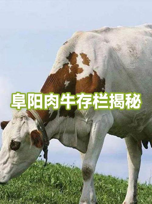 养50头牛一年利润多少游戏截图