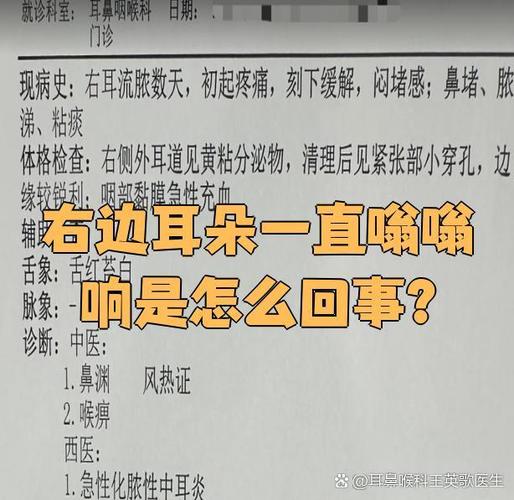 右耳朵嗡嗡响图标