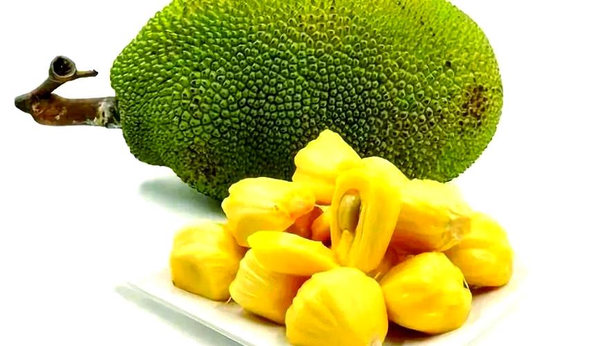 菠萝蜜蜜游戏截图