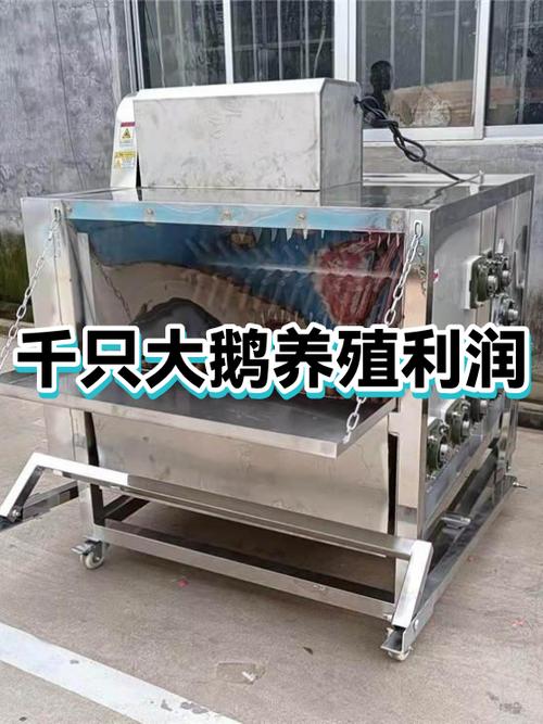 大鹅养殖成本与利润缩略图