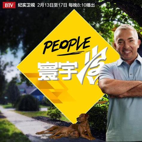 寰宇客游戏截图