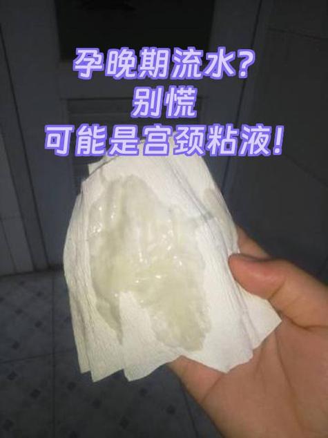 产生文(女孕大肚)孕妇生完又怀缩略图