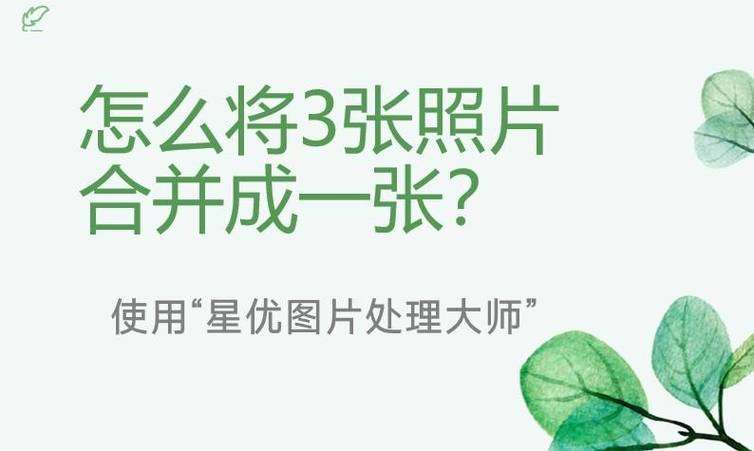 相册照片合并成一张照片游戏截图