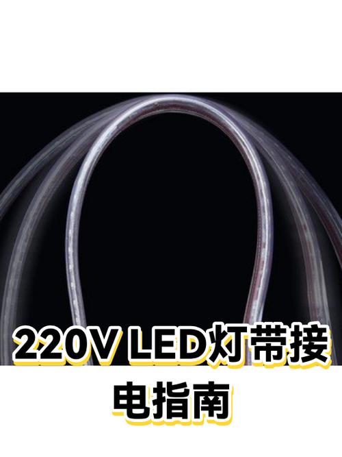 220v灯带接法视频游戏截图