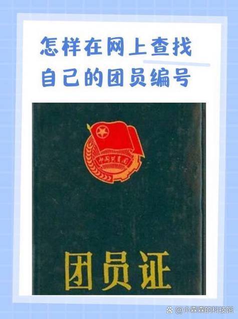 团员身份查询入口缩略图