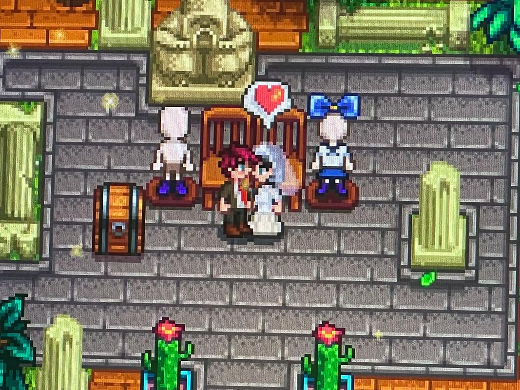 星露谷物语全镇可结婚mod缩略图