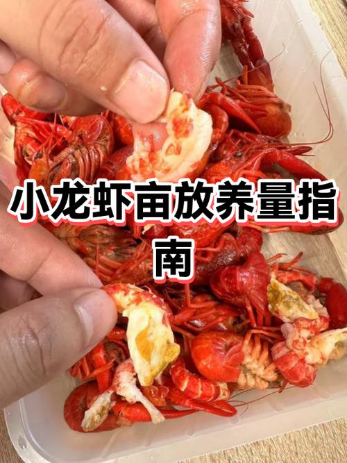 小龙虾放养的密度每亩放多少缩略图