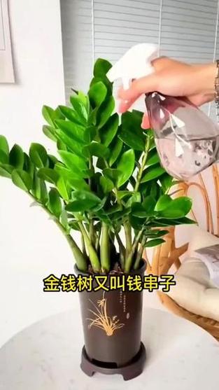 有钱花靠谱吗缩略图