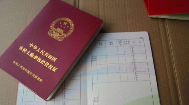 没有确权的土地村里有权收回吗缩略图