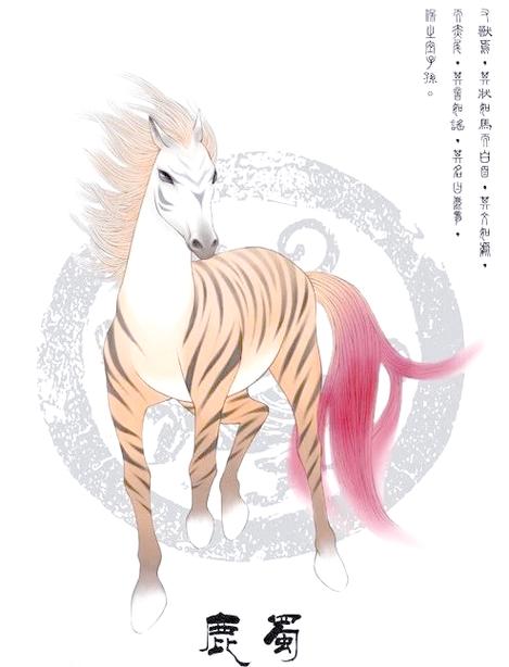 鹿多少钱一只缩略图