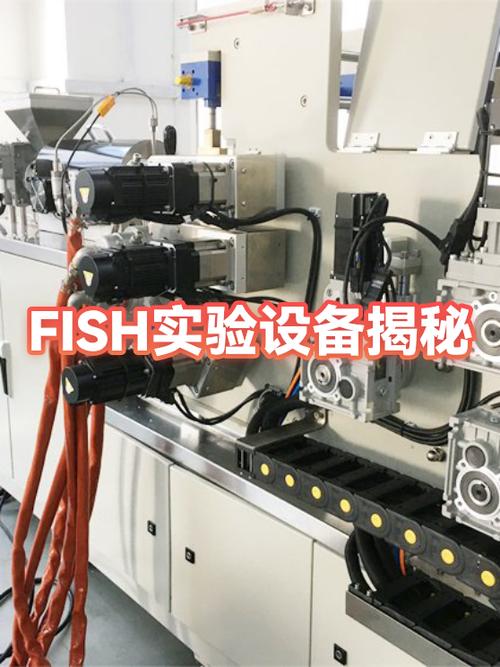 fish检测的费用一般多少钱缩略图
