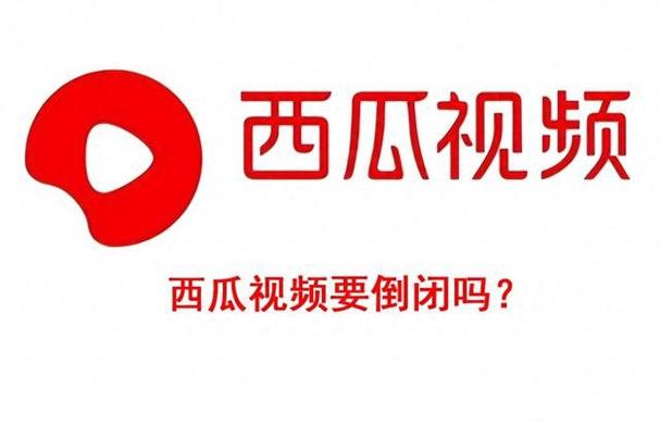 西瓜视频看不了怎么回事游戏截图