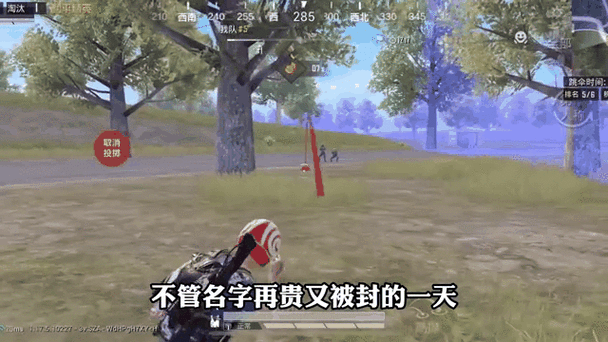 吃鸡一个字id缩略图