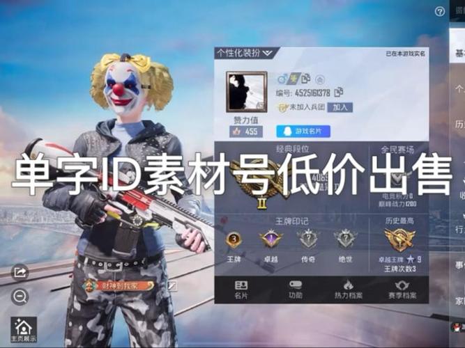 和平精英单字id没人取的缩略图