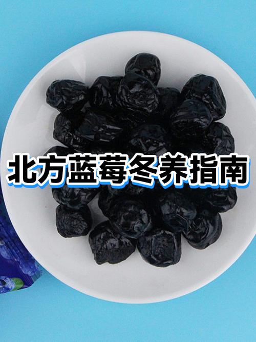 吃蓝莓的季节游戏截图