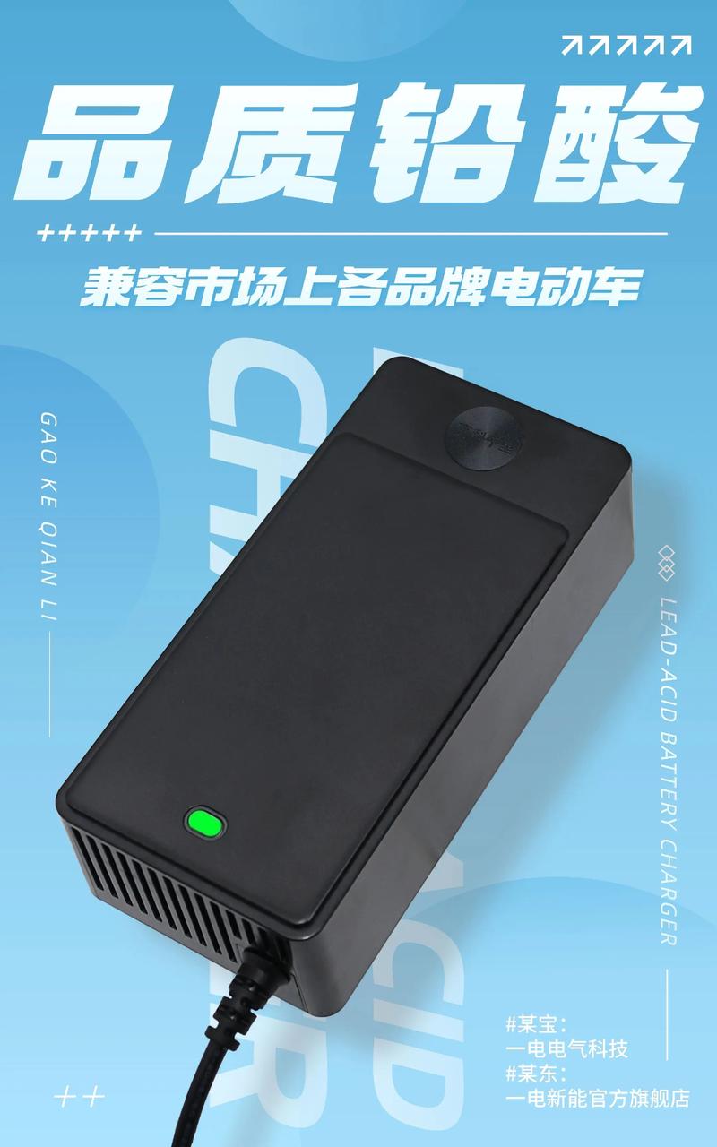 电瓶车充不进去电游戏截图