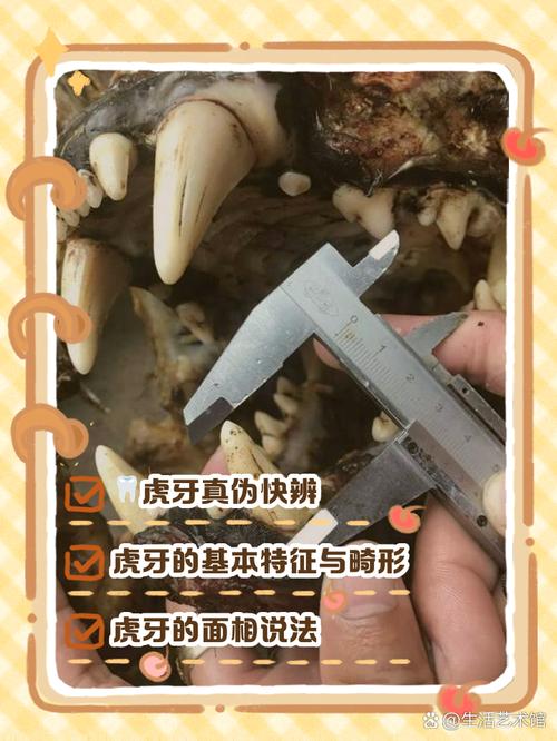 虎牙直播观看回放步骤游戏截图