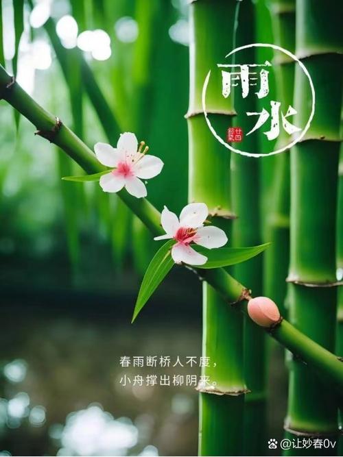 下载春雨版本5.0.2缩略图