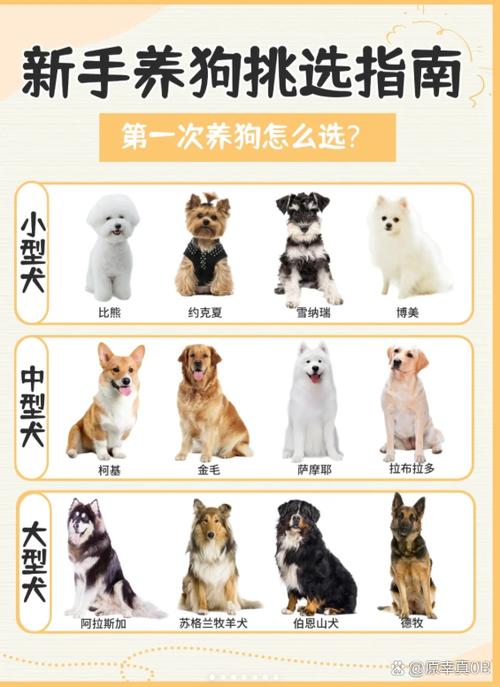 开狗是什么意思图标