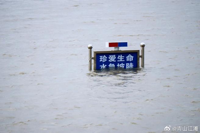 长江水文网实时水情游戏截图