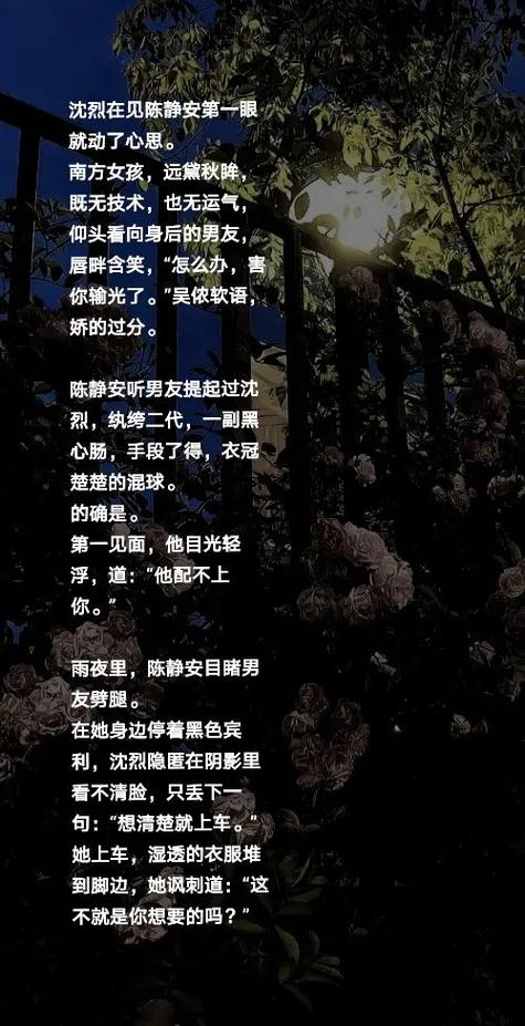 小说炽烈缩略图