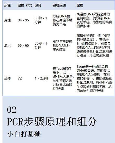 pcr检测多少钱缩略图