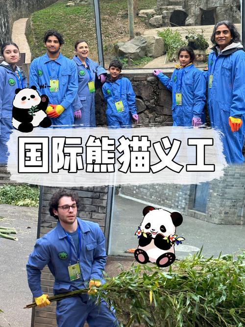 熊猫互赞助手缩略图