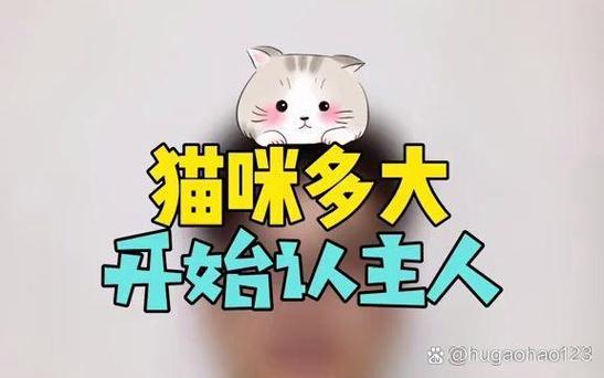 猫多大开始认主人游戏截图