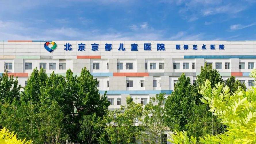 北京最厉害的儿童医院缩略图