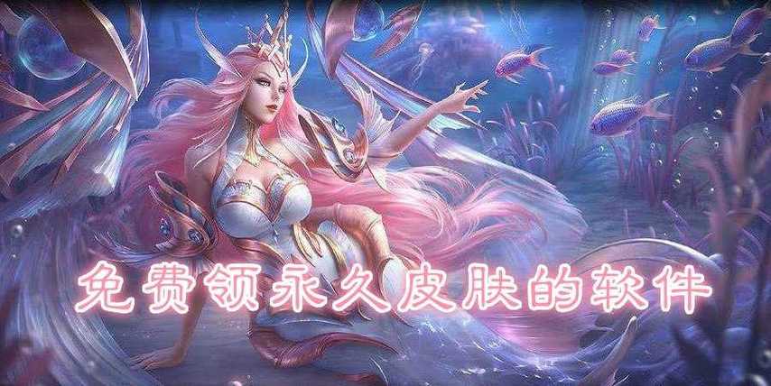 能领王者荣耀皮肤的软件有哪些游戏截图