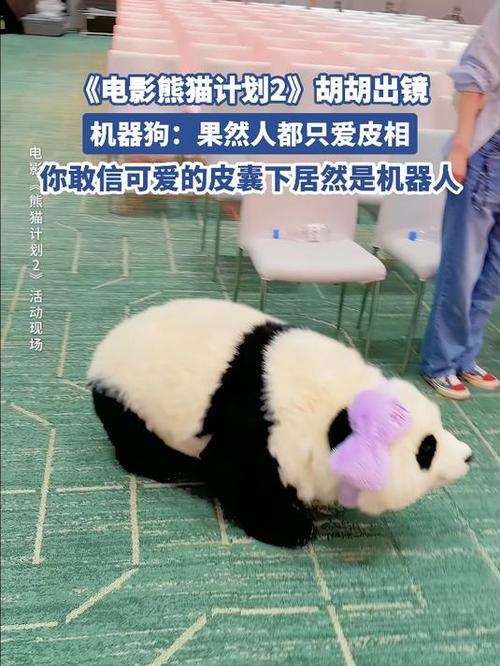 熊猫繁殖计划缩略图