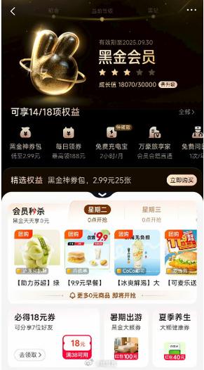 美团会员一般多少钱缩略图