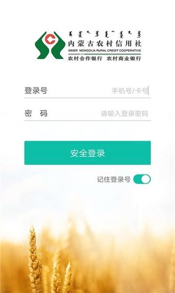 农商银行下载并安装图标