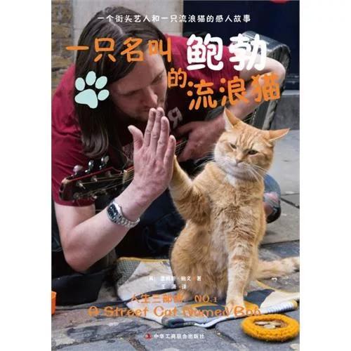 流浪猫下载中文版缩略图