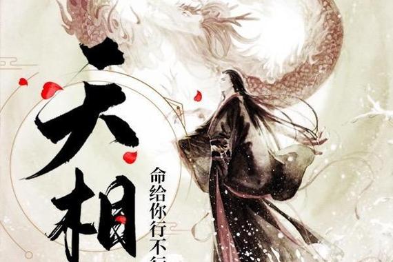 天相小说百度百科缩略图