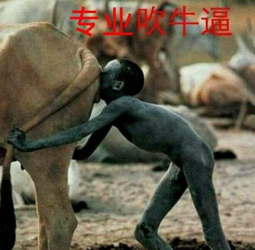 我的吹牛能提现游戏截图