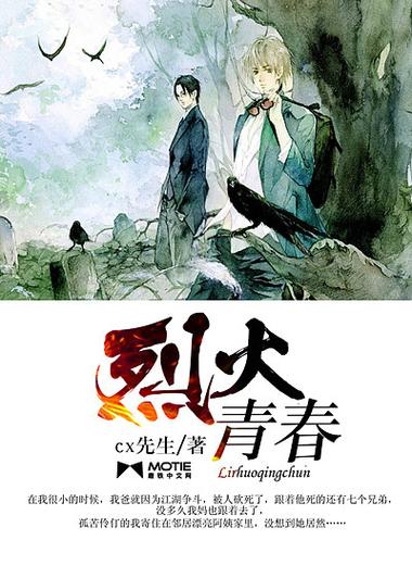 烈火中文网小说缩略图