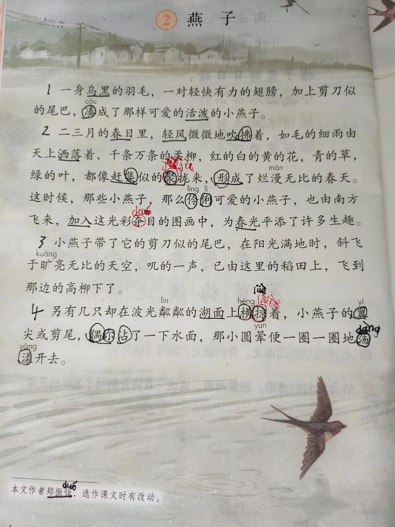 燕子过海阅读理解答案缩略图