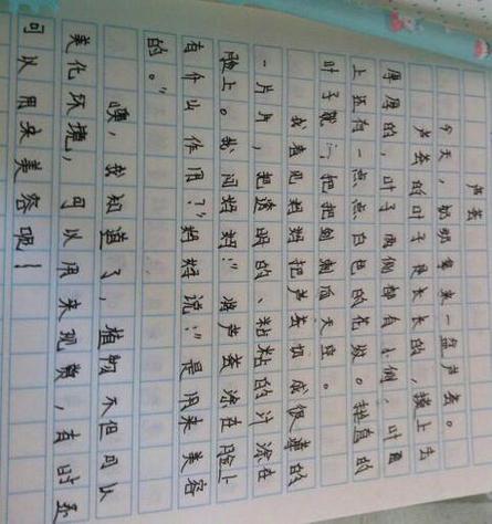 200字左右的日记缩略图