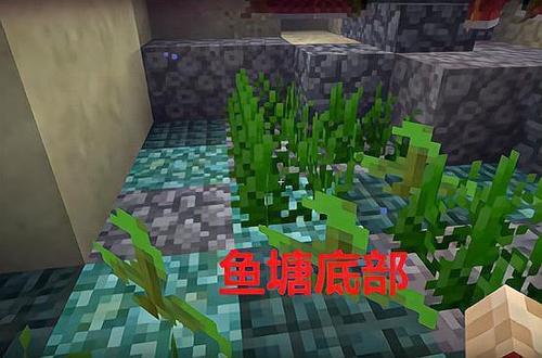 我的世界好看的鱼塘缩略图