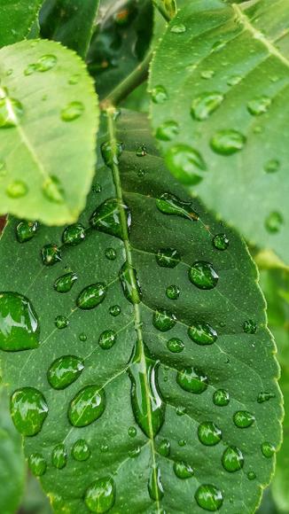 雨滴桌面怎么用图标