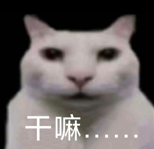 oppor11悬浮窗是干嘛的游戏截图