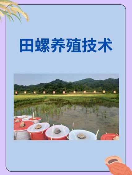 养殖一亩田螺一年利润多少游戏截图