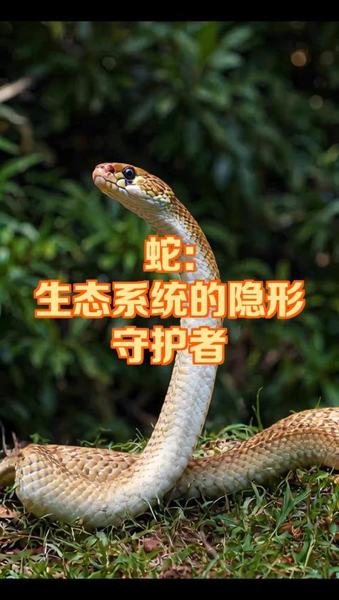 iphone禁止更新系统缩略图