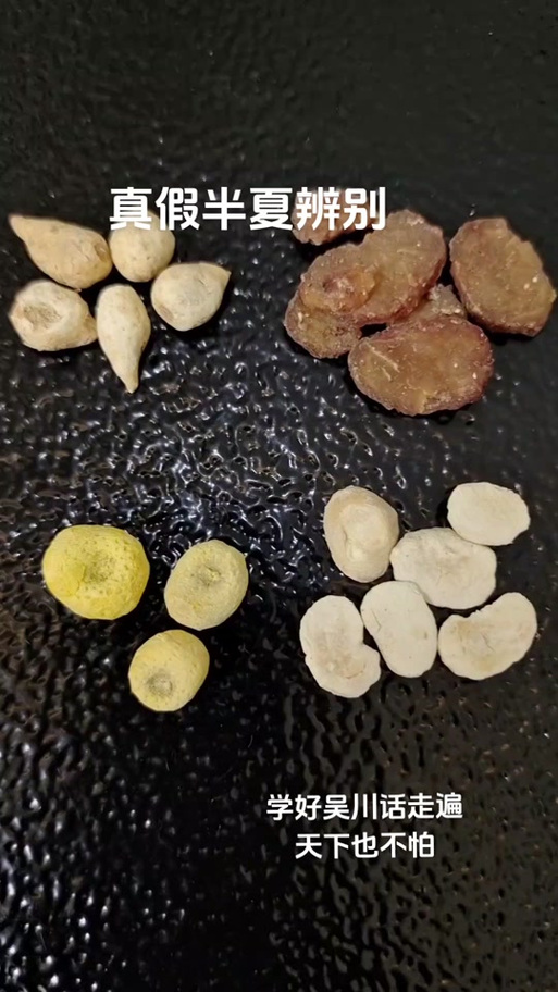 半夏真假辨别方法缩略图